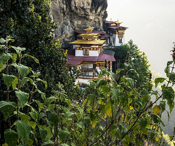 Bhutan Highlights: 6 Days of Culture & Nature