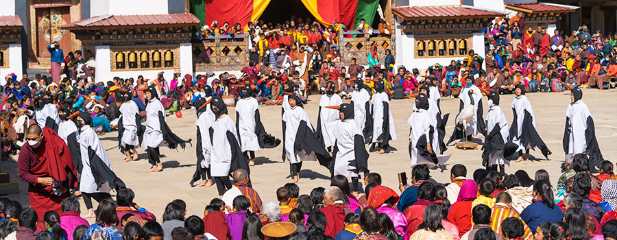 Black-Necked Crane Festival