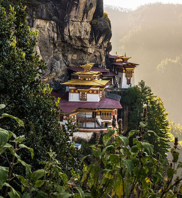 Paro