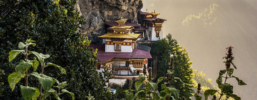 Paro