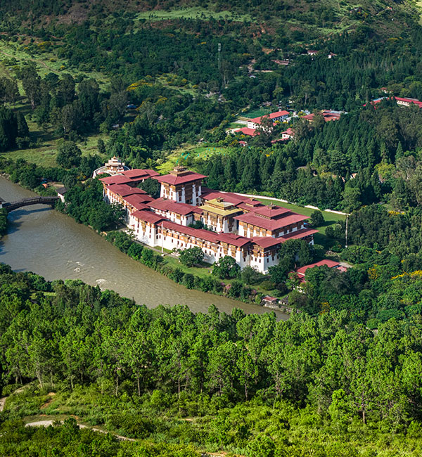 Sky Tour, A Bird Eye View